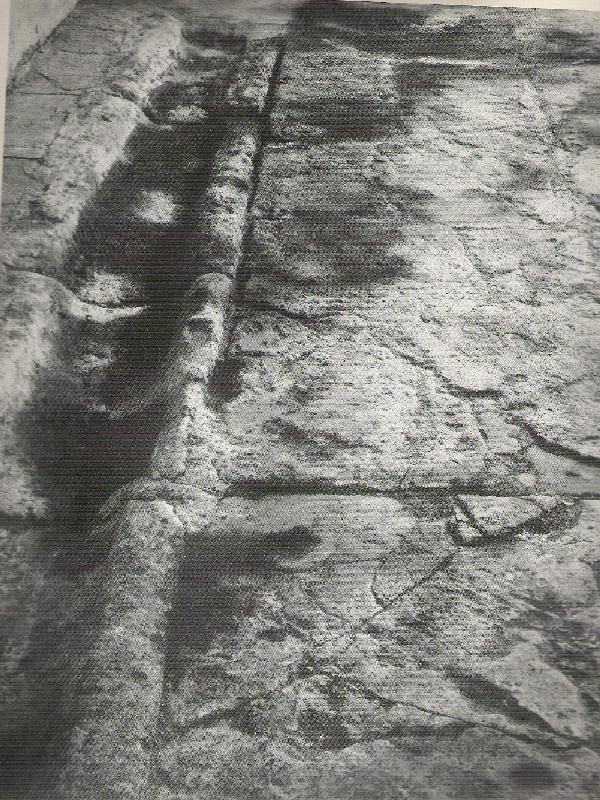 priorip2.jpg (184758 byte)