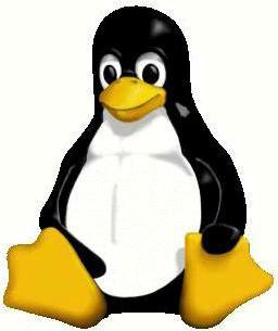 linux.jpg (25253 byte)