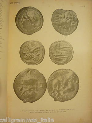 martinori8.JPG (14161 byte)
