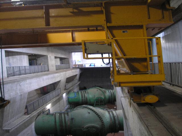 galletoCondotten.jpg (62262 byte)