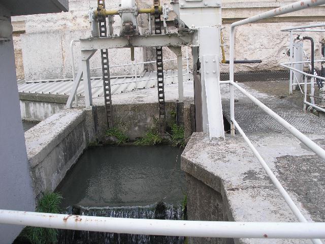 galletoacqua.jpg (98826 byte)