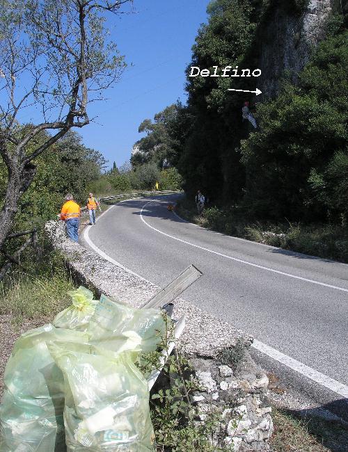 orlandodelfino1.jpg (124190 byte)