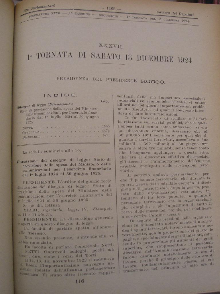nettiferrPA280125.jpg (128918 byte)