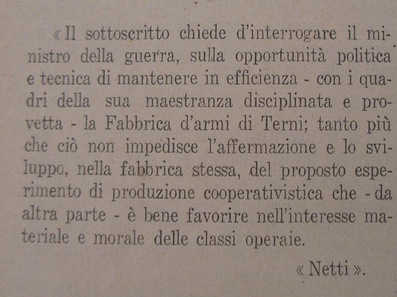 nettiterniPA280098.jpg (86968 byte)