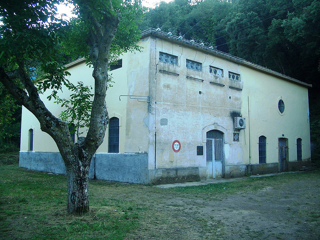 vt3747164198.jpg (164413 byte)